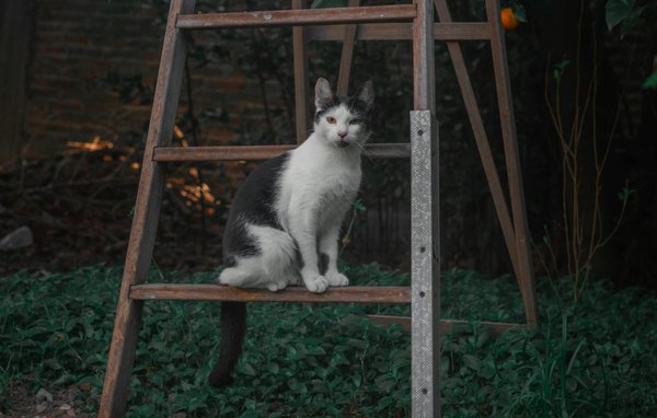 Nouvelles Approches Innovantes pour les Soins de Santé des Aînés : Guide Essentiel 2023